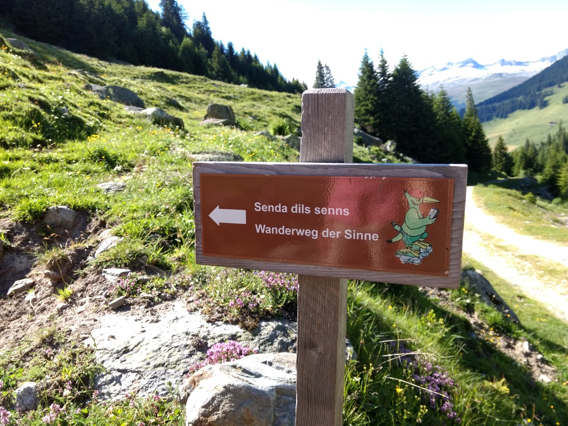 Nicht allein dem Verstand vertrauen: auch auf das Bauchgefühl «hören». 