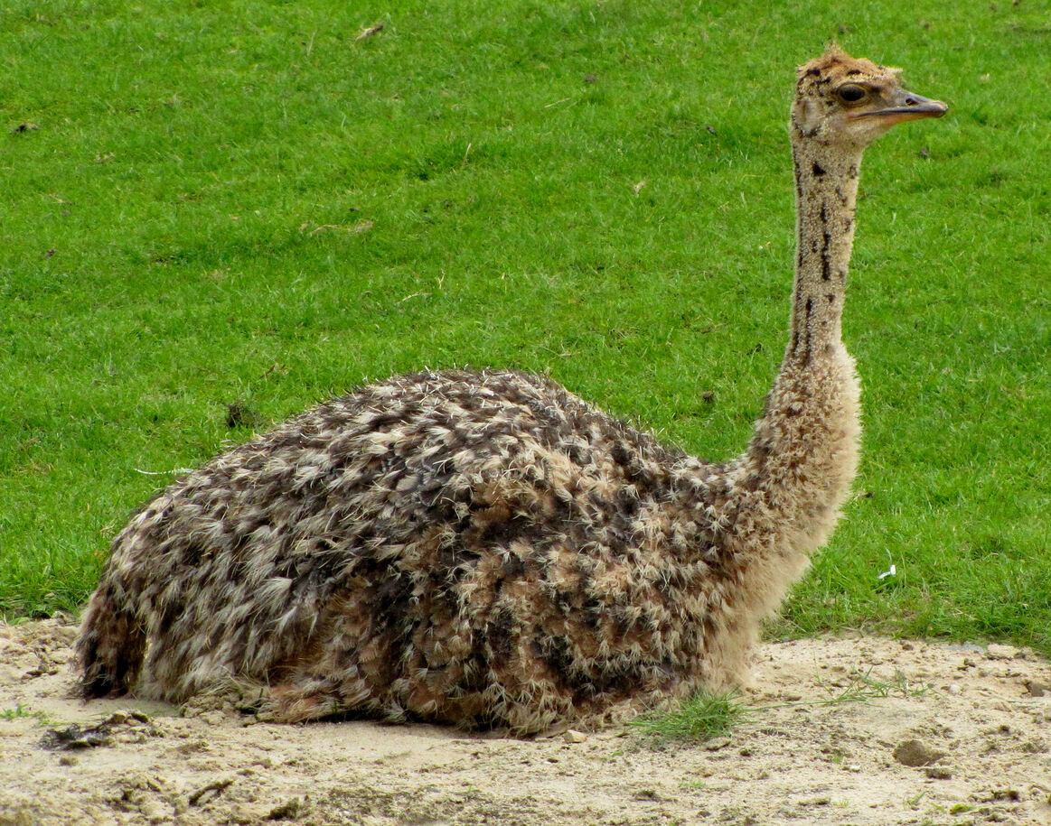 Aus Fehlern lernen – denn Fehler machen klug - suedostschweizjobs.ch