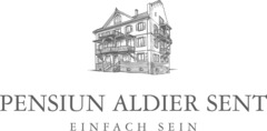 Logo PENSIUN ALDIER