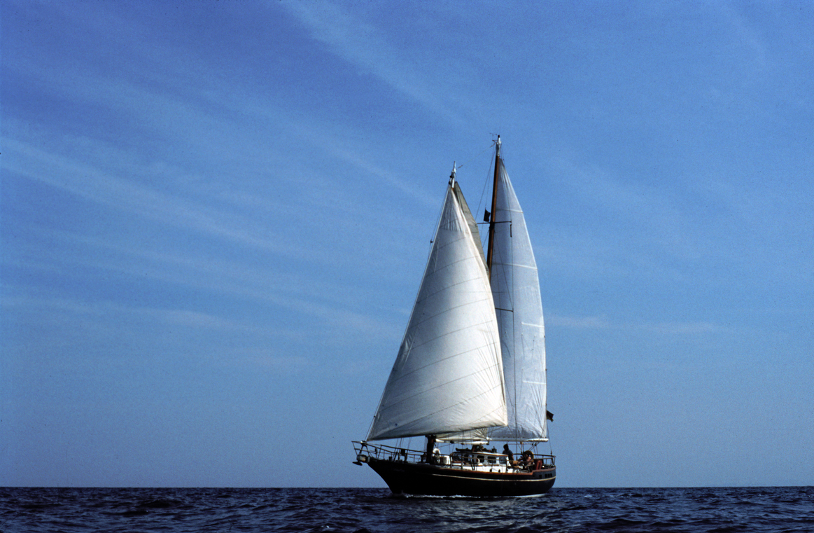 Die Mitarbeiterführung im Umfeld der Digitalisierung