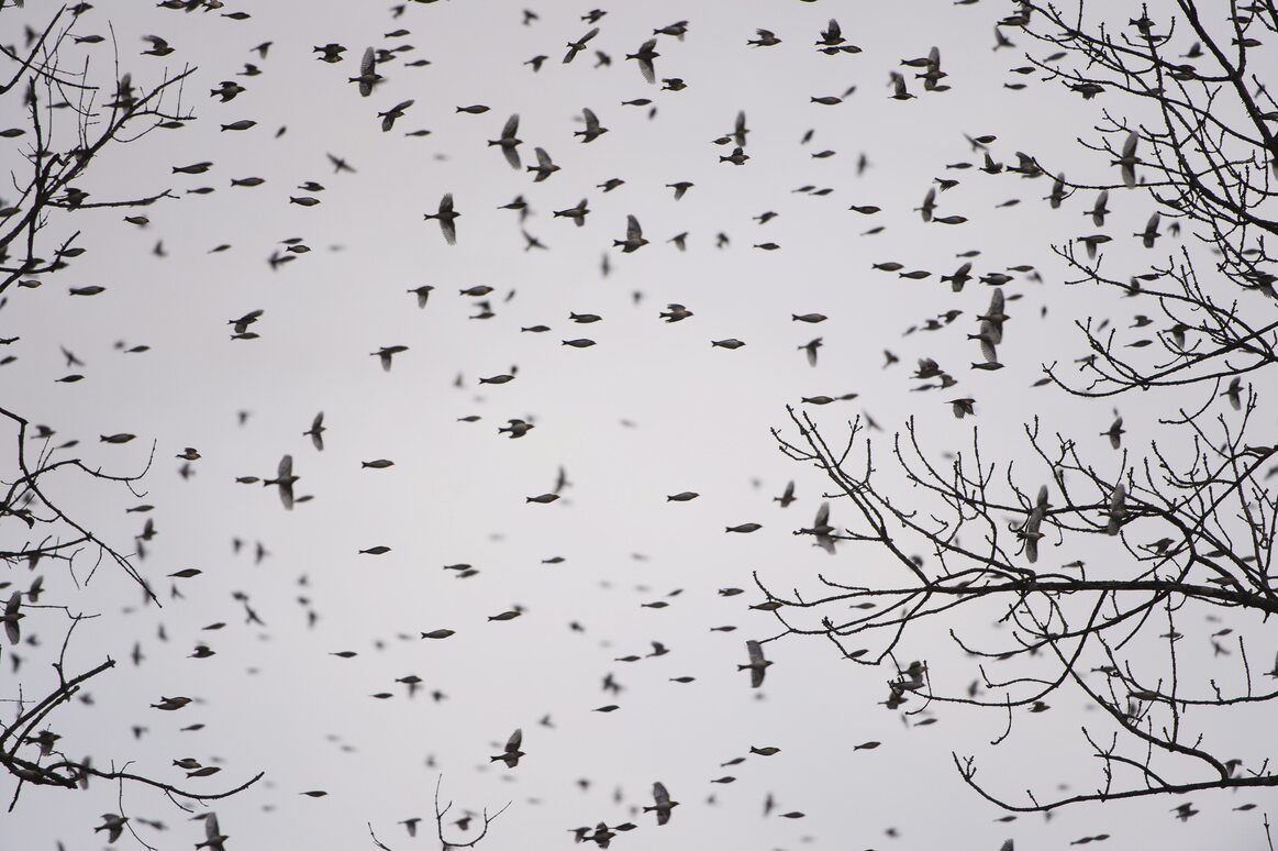 Den negativen Gedanken wenig Platz geben - südostschweizjobs.ch 1