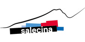 Logo Stiftung Salecina