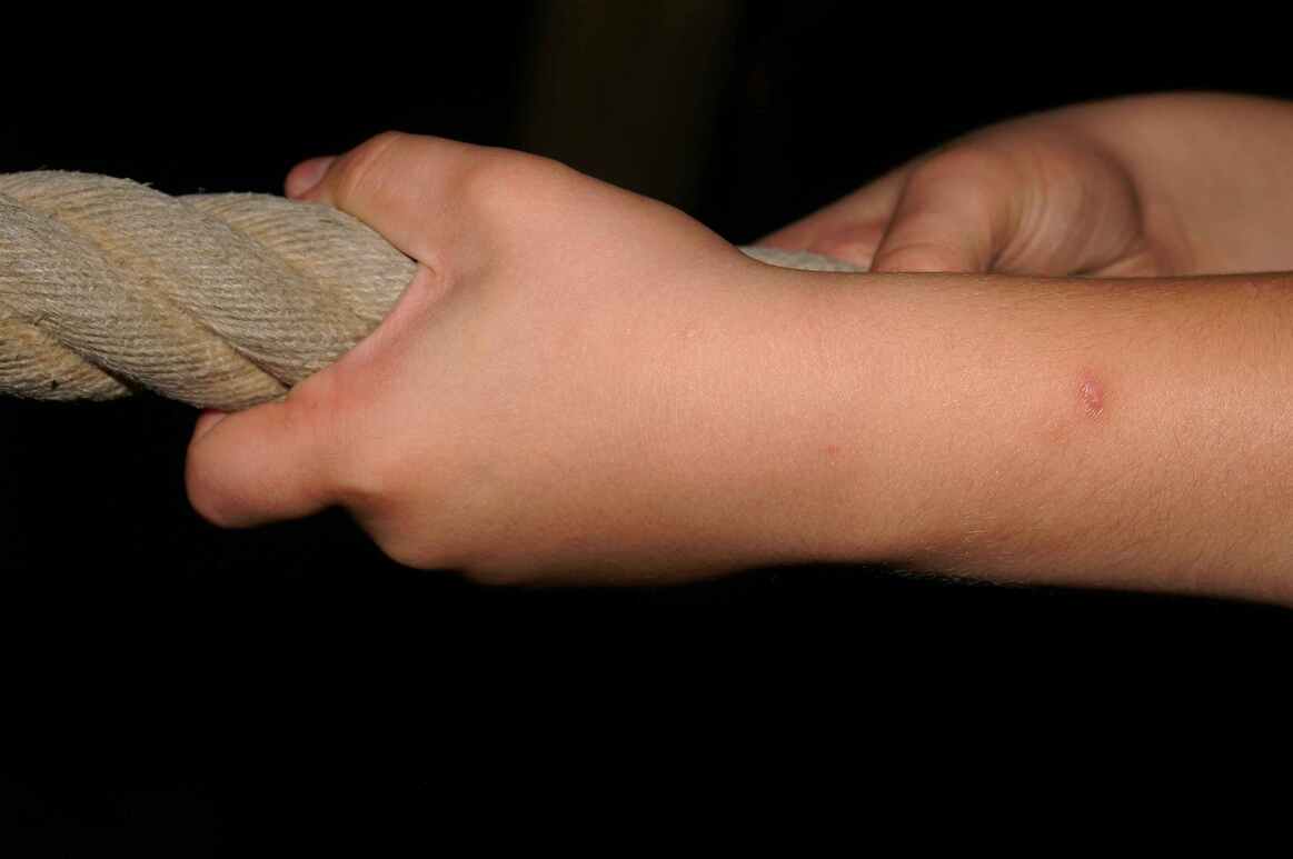 Junge Führungskraft - Der Einstieg in einen Führungsjob - suedostschweizjobs.ch 1